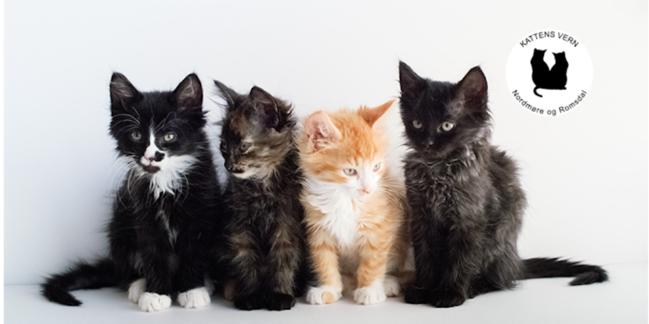 2023 03 13 2023 03 13